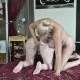 Oel und Dildo Spass