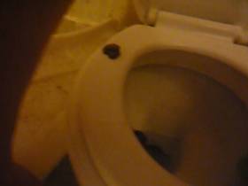 shit in toilet