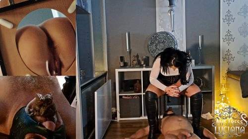 3 riesige Haufen Scheisse für mein Klomaul