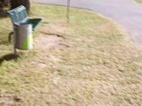 Mega shitting / pissing outdoor / public