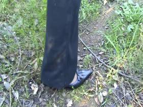 Shit on the dandelion