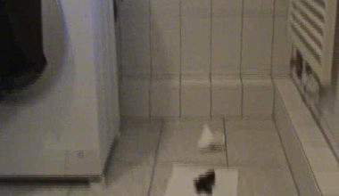 Neben die Waschmaschine geschissen.