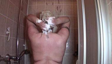 Haare-Waschen