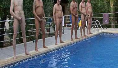 6 Schwänze am Pool