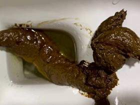 Fuck While Poop
