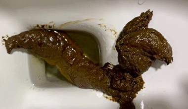 Fuck While Poop