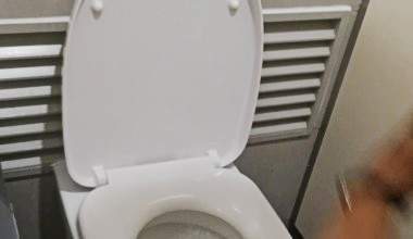 Im Singapore KAUFHAUS aufs Klo, PIPPI machen