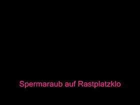 Spermaraub auf Rastplatzklo