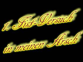 1 Fist-Versuch ANAL