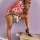 ibizalady