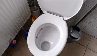 KACKEN WIE NE  MILCHSAU!