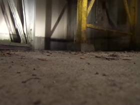 Vor die Tür gepisst