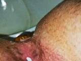 Auch in der Arbeit muss man Kacken