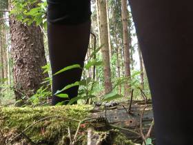 YOU wanted to observe subtle