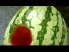 Melon fuck