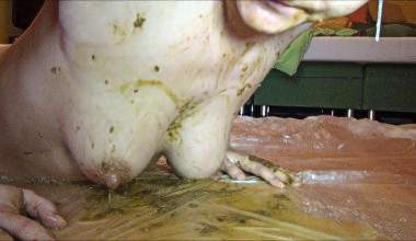 Dildo in Pussy und Scheiße