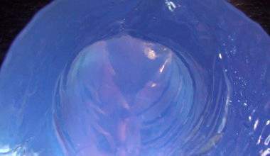 Transparent Dildo im Arsch mit Taschenlampe