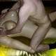 Fucking Lofty Leila inflatable sexdoll on waterbed