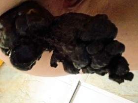 Schluck meinen Kot, Sklave