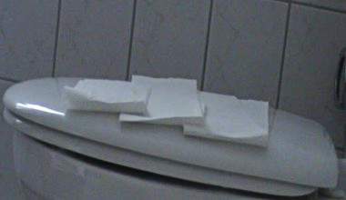 Die Schmierwurst auf dem Klodeckel.