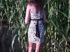 In the corn field