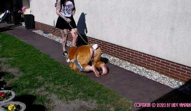 Easter Bunny Hunting 1/2