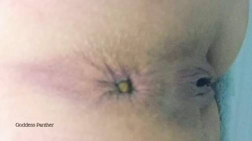 3 leckere Kackhaufen