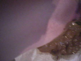 lick me clean my ass