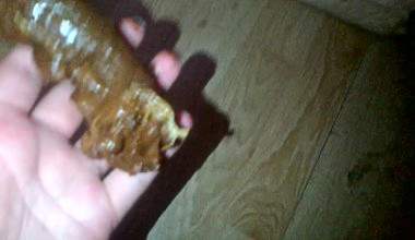 Scheiße in meiner Hand