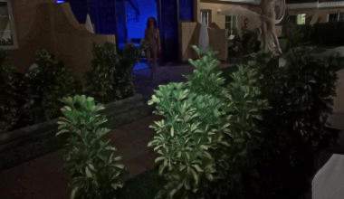 Swinger SEX auf GranCanaria